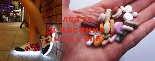 прущий лед Алзамай