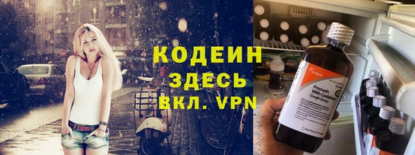 прущий лед Алзамай