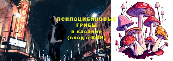 прущий лед Алзамай