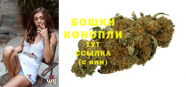 spice Новодвинск