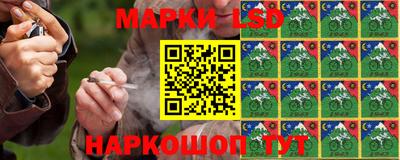 ПСИЛОЦИБИНОВЫЕ ГРИБЫ Вышний Волочёк