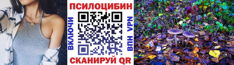 Галлюциногенные грибы Psilocybine cubensis  кракен ссылки  Петровск 