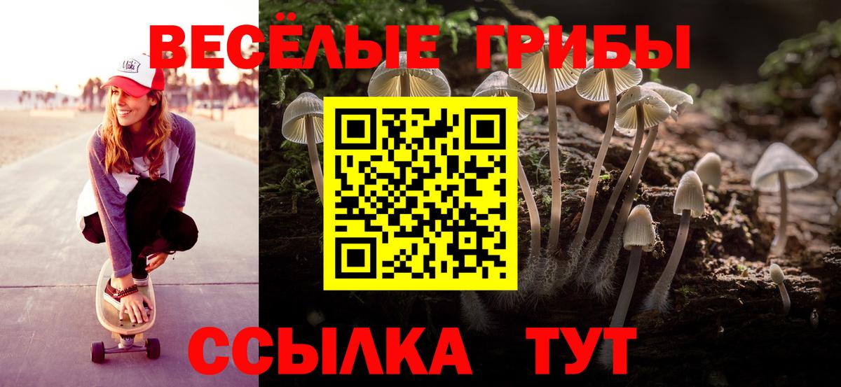 Петровск  как найти закладки  Вход с VPN  Псилоцибиновые грибы мухоморы 